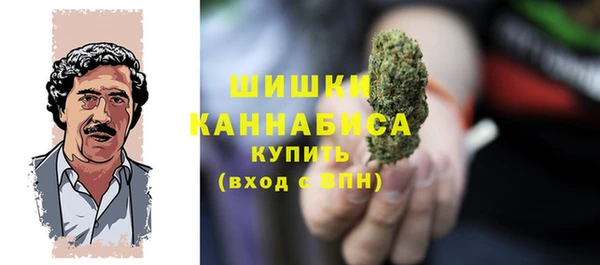 дмт Костерёво