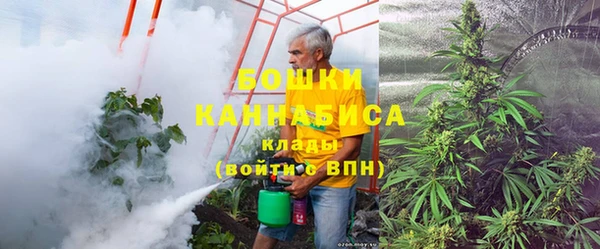дмт Костерёво